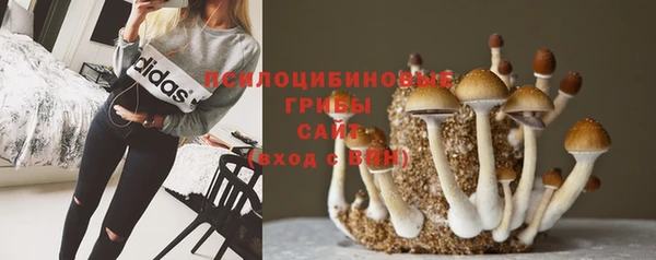 ГАЛЛЮЦИНОГЕННЫЕ ГРИБЫ Протвино