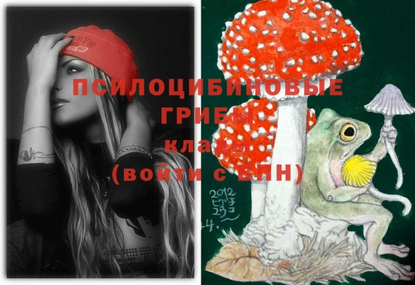 Альфа ПВП Володарск